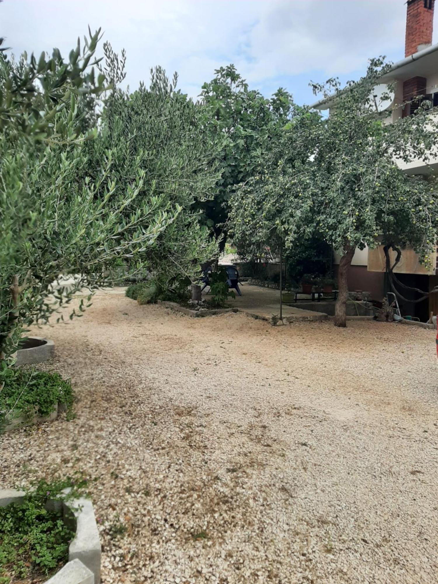Apartmani Marija Повляна Стая снимка