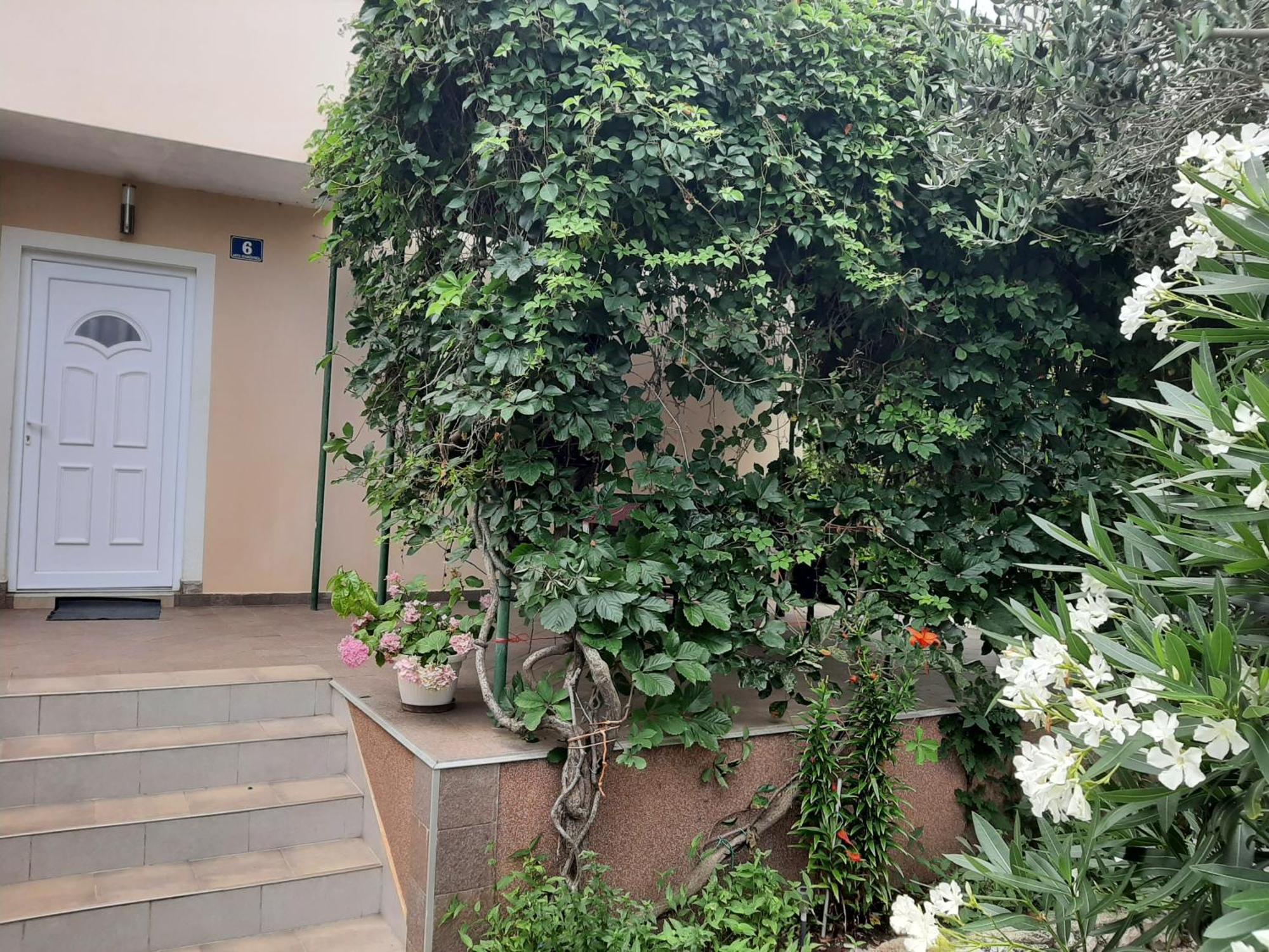 Apartmani Marija Повляна Стая снимка