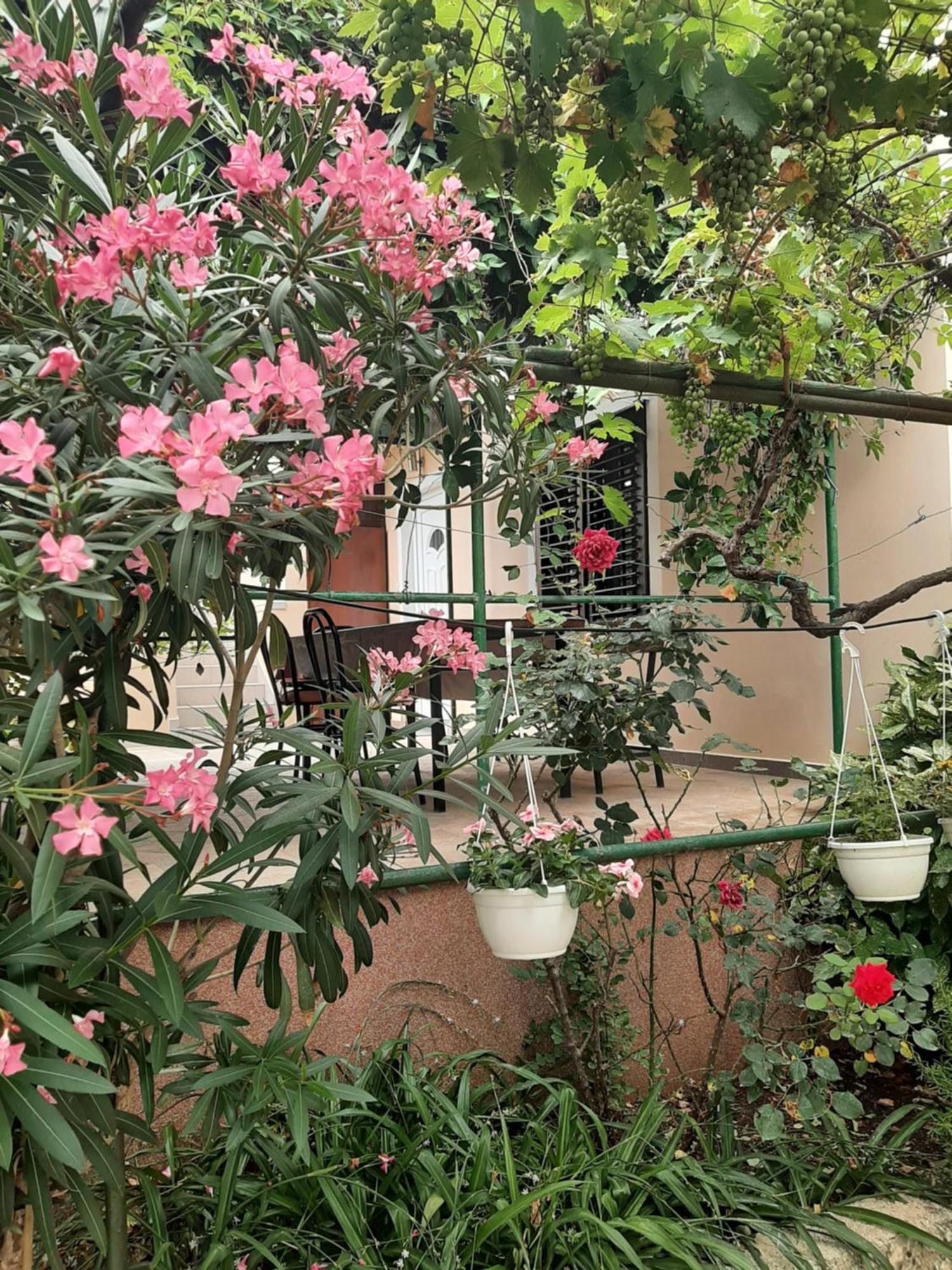 Apartmani Marija Повляна Стая снимка