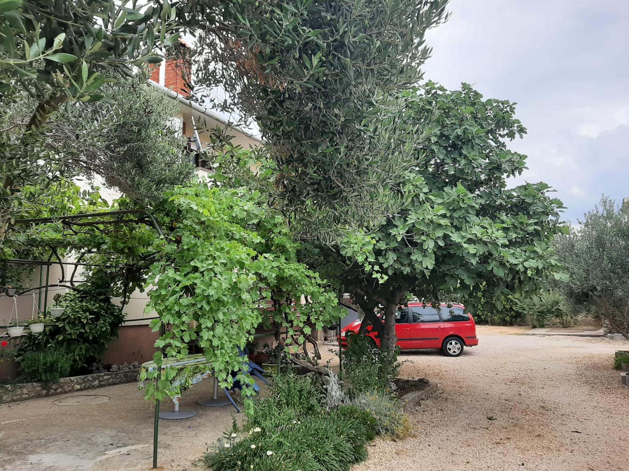 Apartmani Marija Повляна Стая снимка