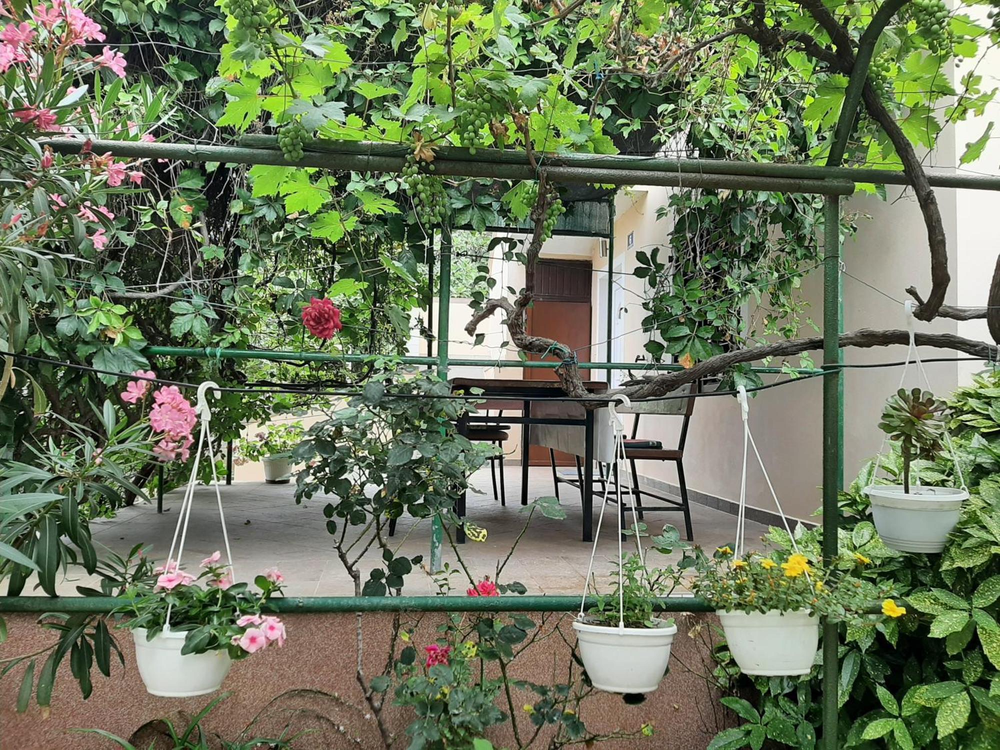 Apartmani Marija Повляна Стая снимка