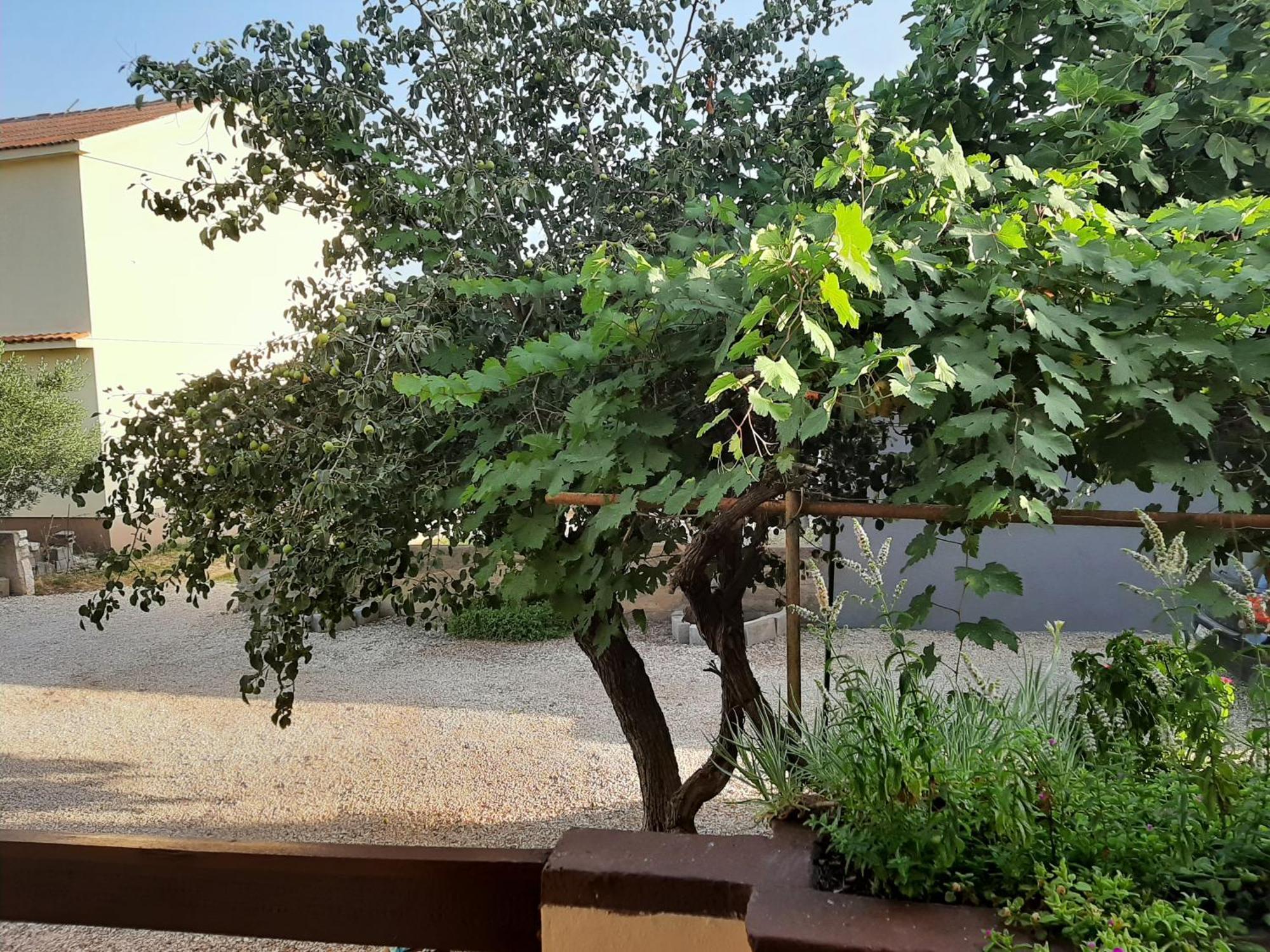 Apartmani Marija Повляна Стая снимка