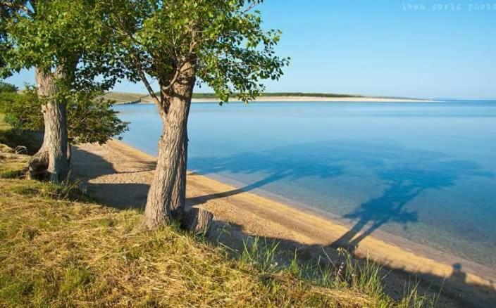 Apartmani Marija Повляна Екстериор снимка