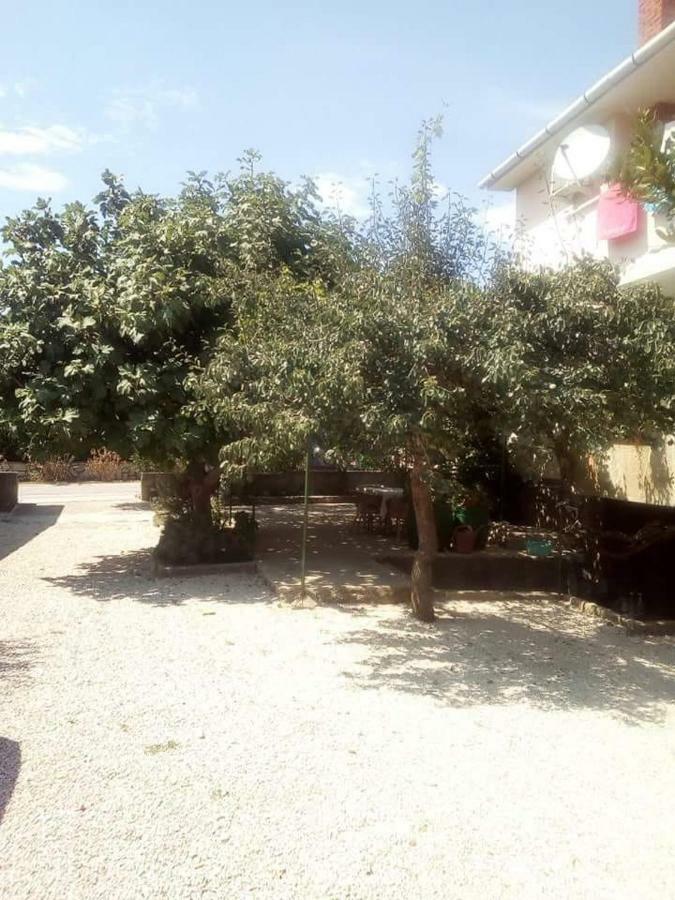 Apartmani Marija Повляна Екстериор снимка